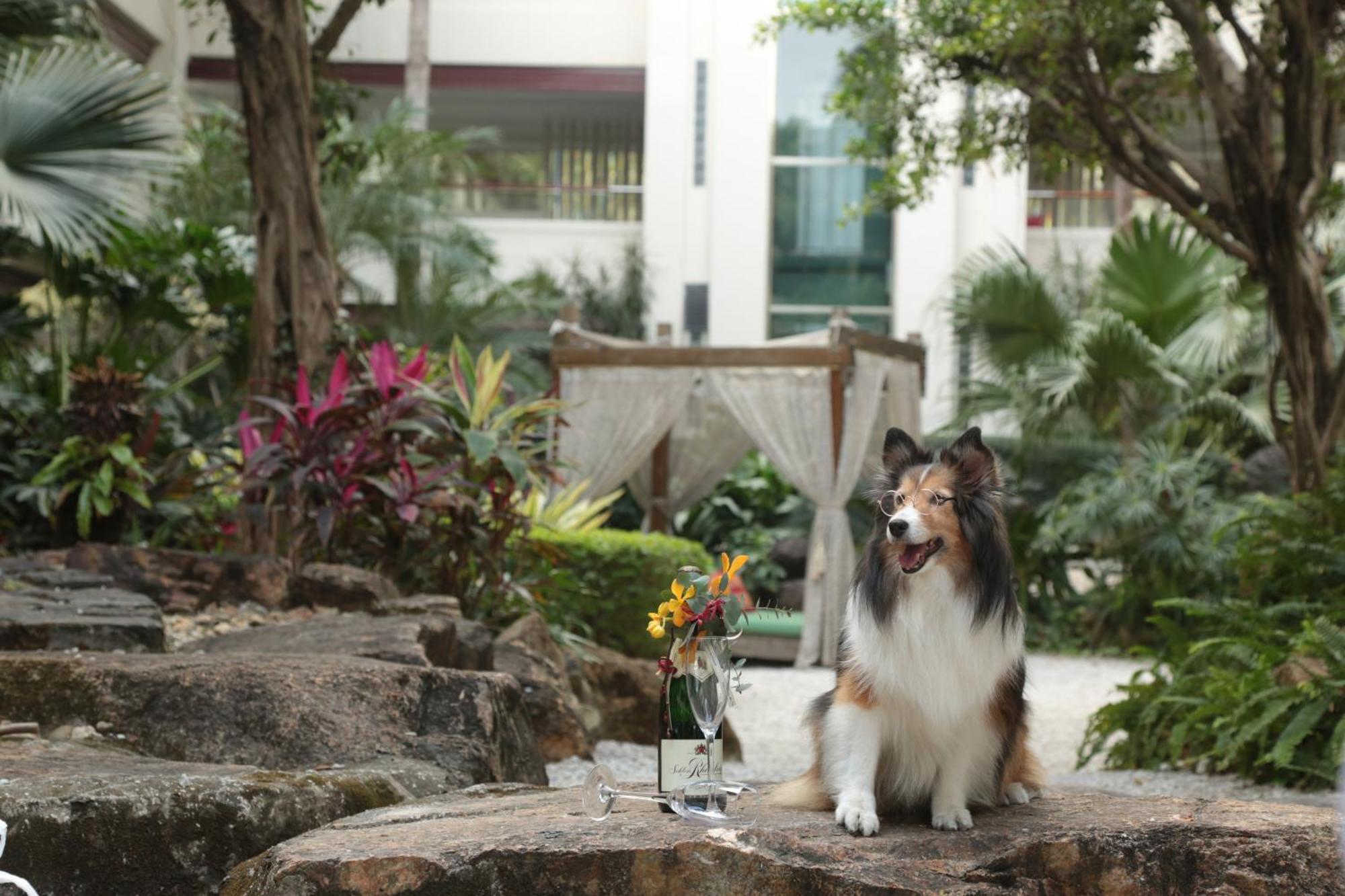 Mission Hills Hotel Resorts Thẩm Quyến Ngoại thất bức ảnh