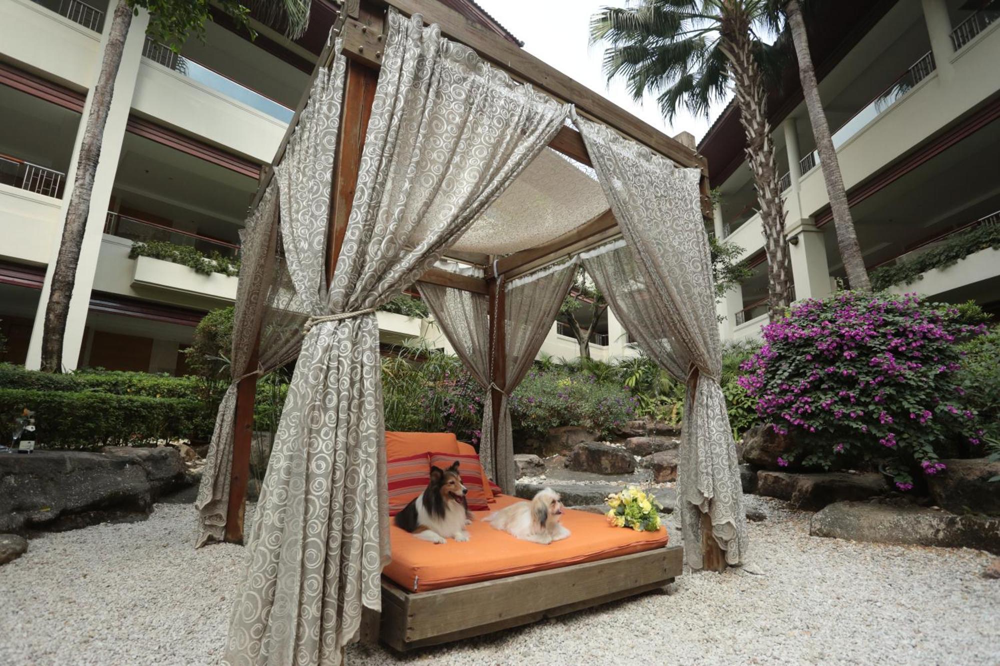 Mission Hills Hotel Resorts Thẩm Quyến Ngoại thất bức ảnh